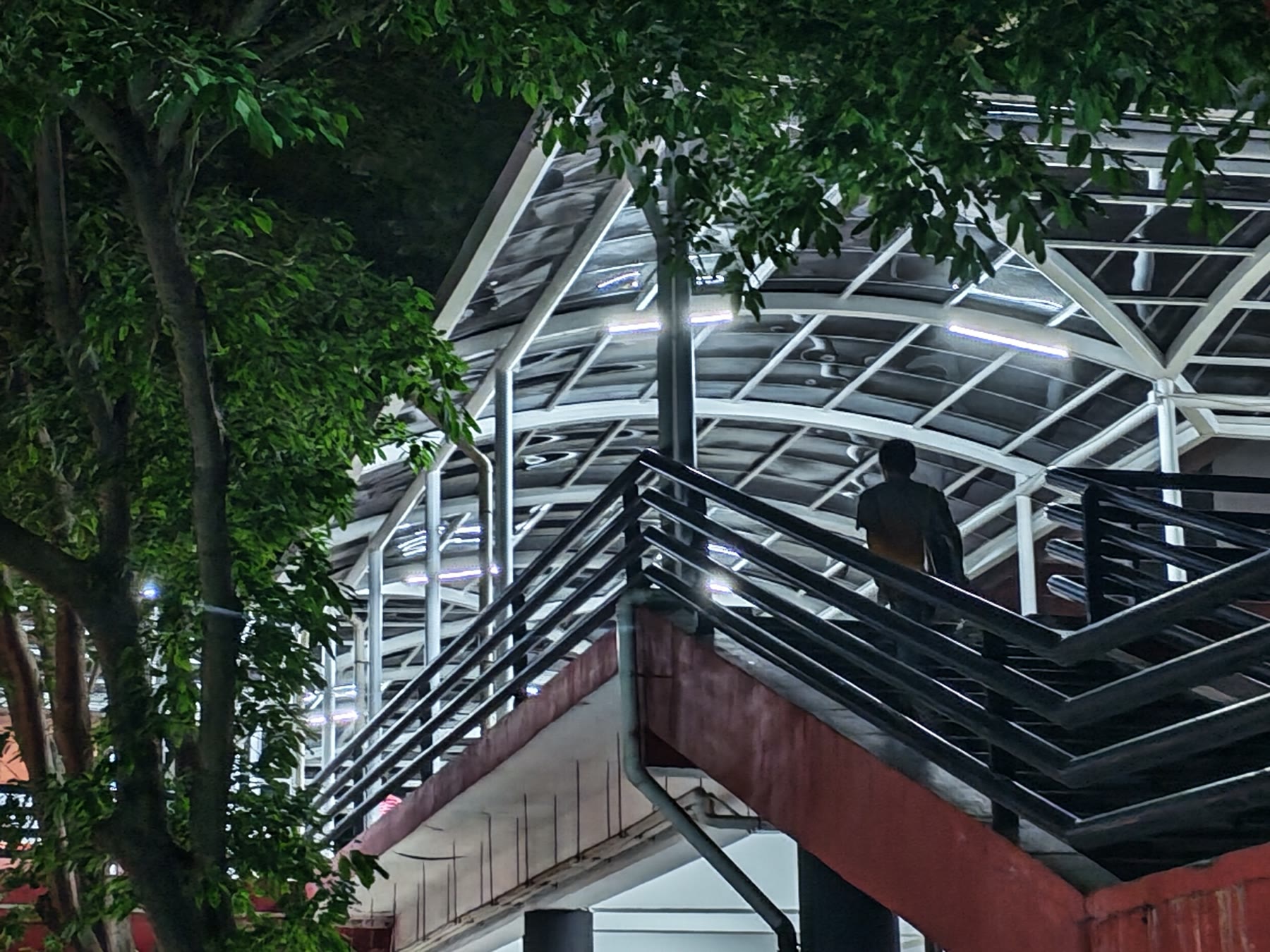 夜间校园楼梯在树影与白色顶棚之间向上折转，一道人影走向高处